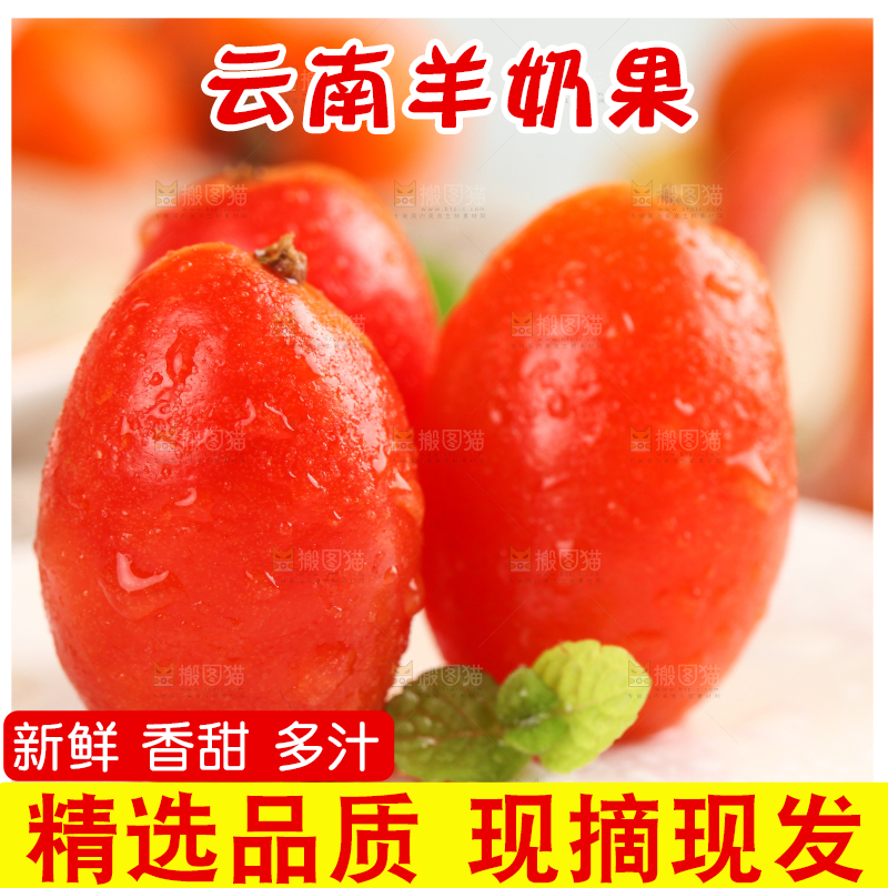 浅底上的云南新鲜羊奶果