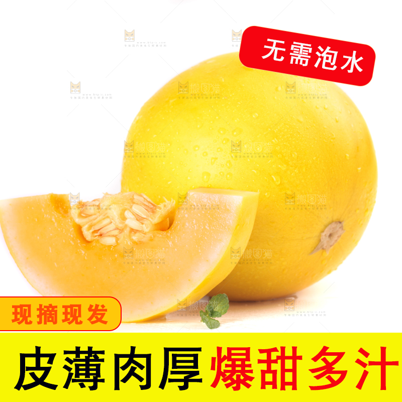 切开的黄河蜜瓜放在白底上