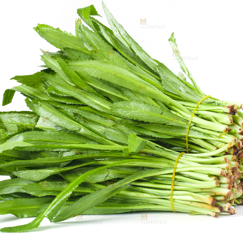 白底上的大香菜