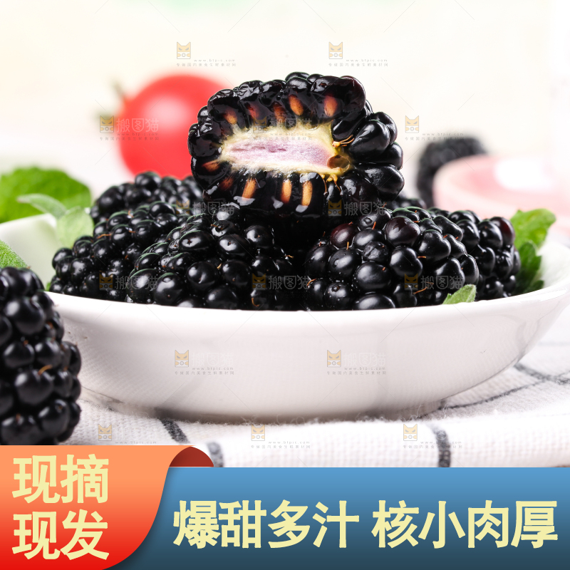 格子布上放着一碟黑树莓