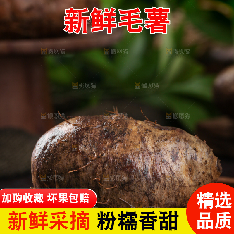深底上的毛薯