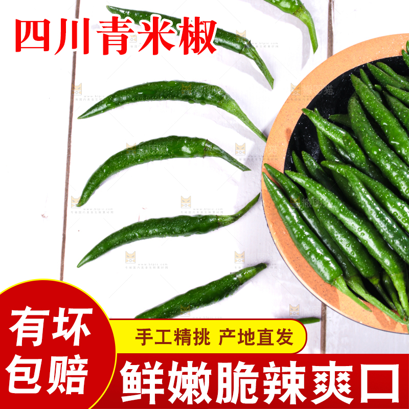 浅底上放着一盘青小米辣