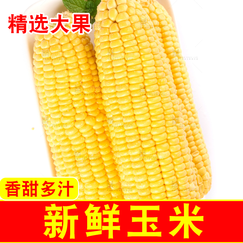 白底上放着黄玉米