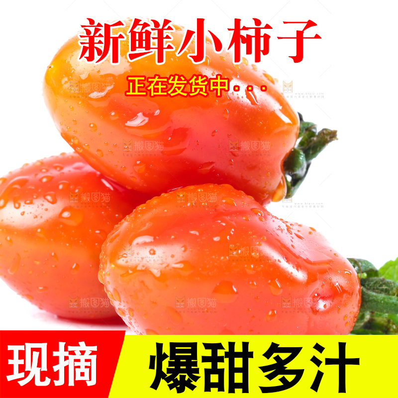 白底上摆放着丹东409小柿子