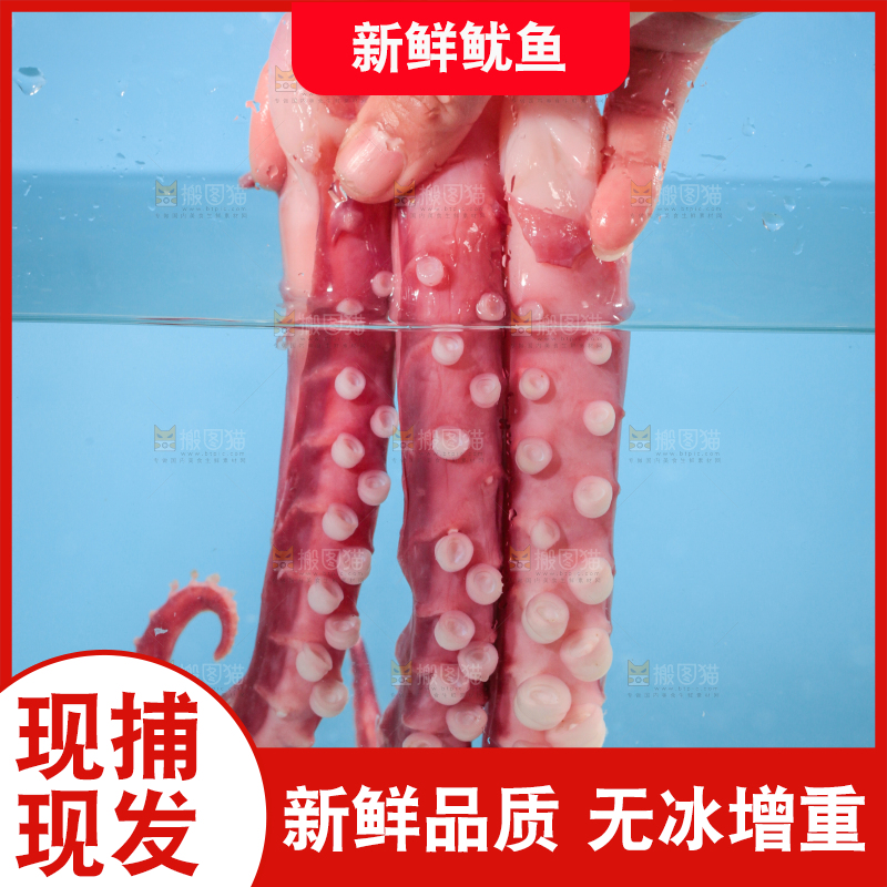 水里放着鱿鱼须
