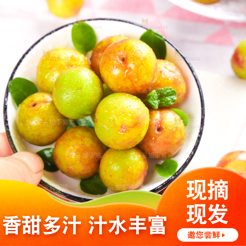 碗里装着钱排三月李