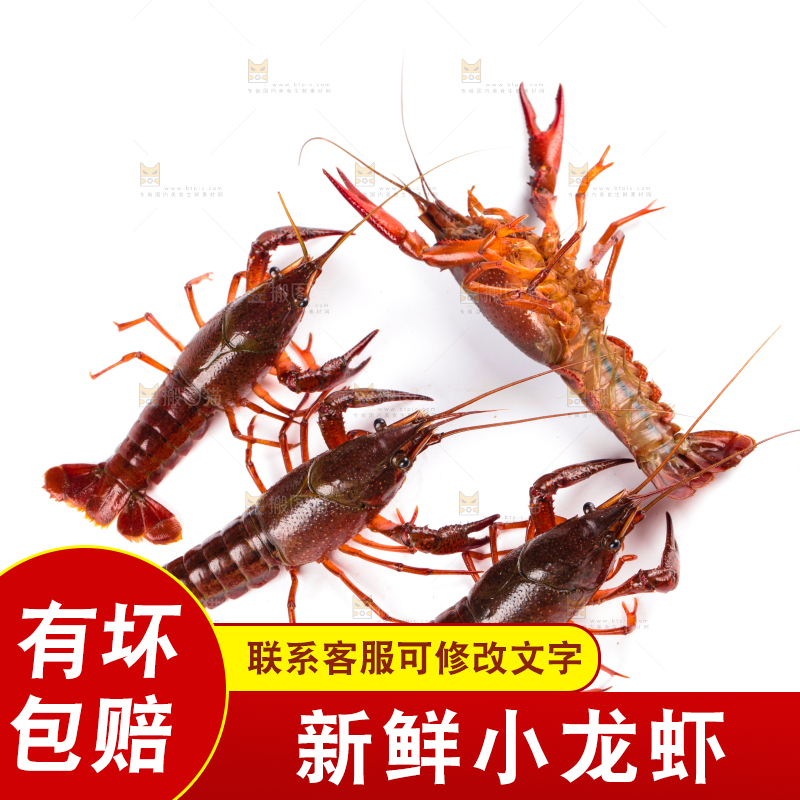 白底上放着潜江小龙虾