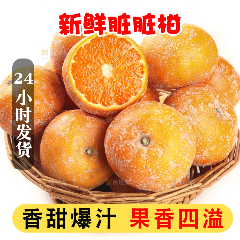 白底上放着一筐广西武鸣茂谷柑