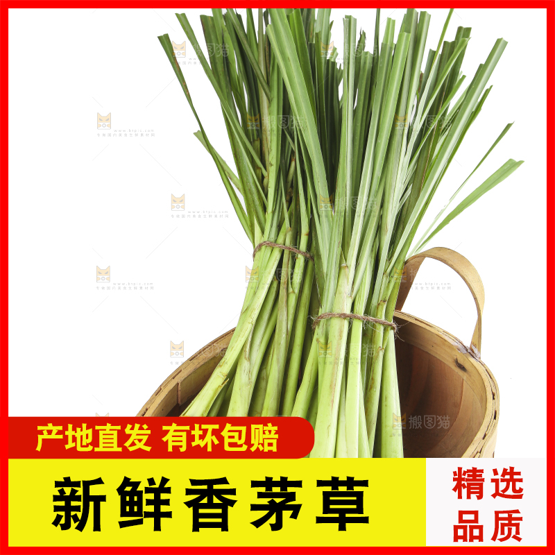 一筐香茅草放在白底上