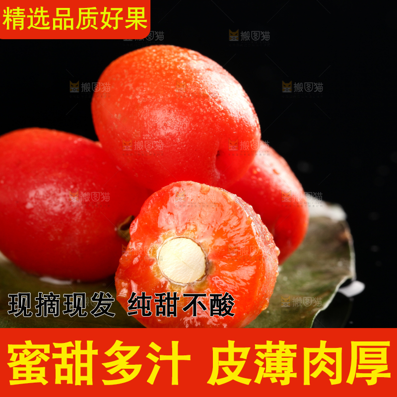 树叶上的羊奶果