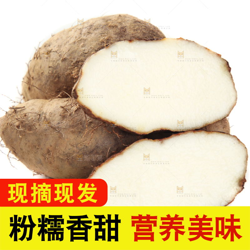 白底上切开的湛江毛薯