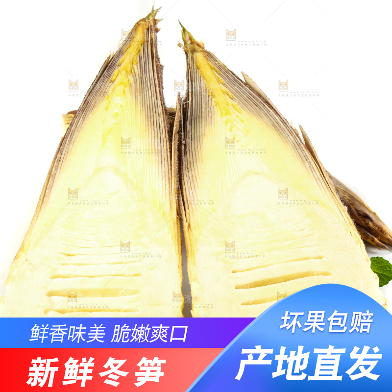 切开的冬笋放在白底上