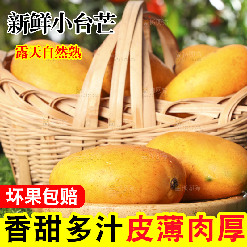 草地上的新鲜小台芒