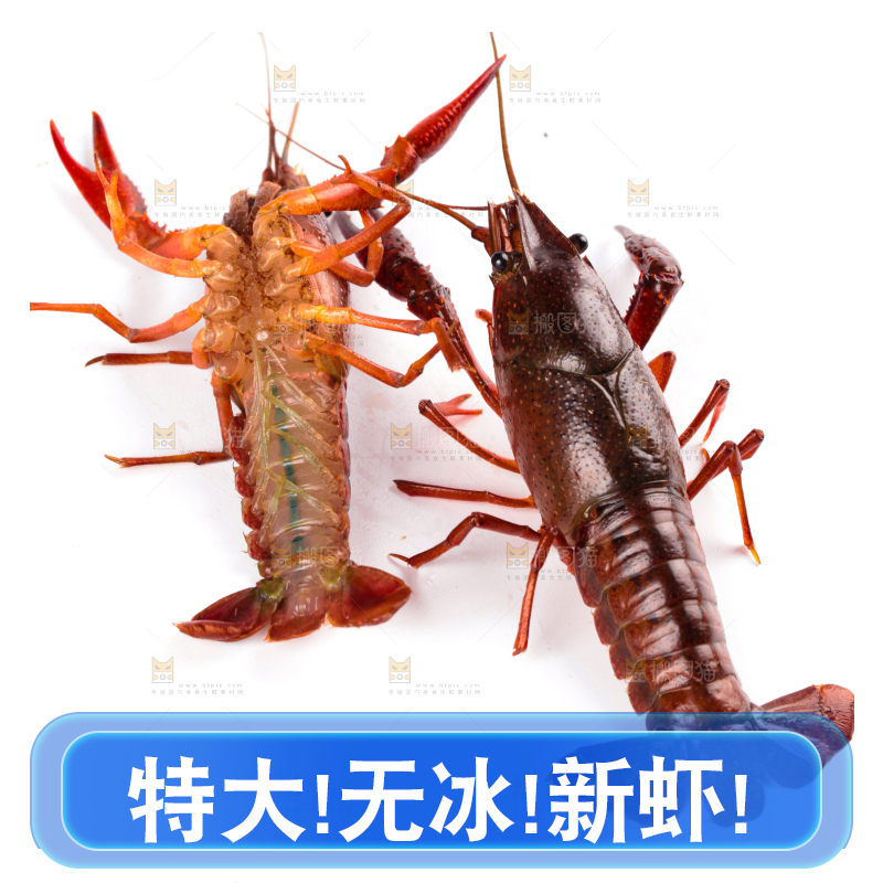 白底上放着潜江小龙虾