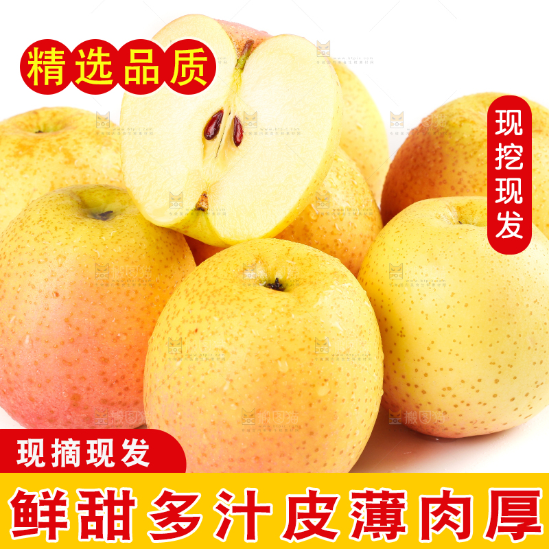 白底上的雀斑美人