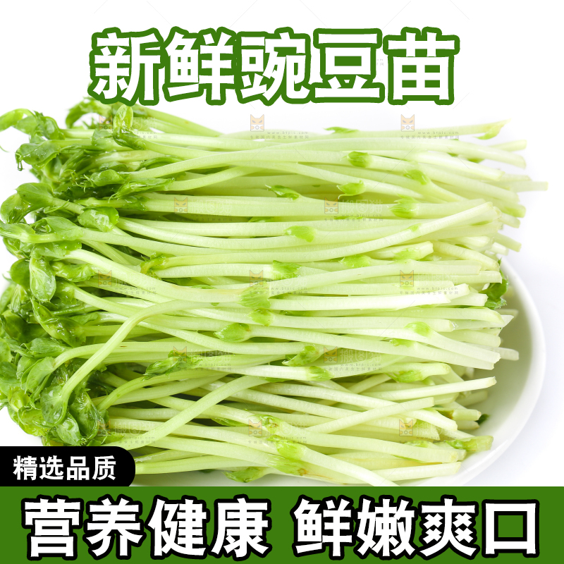 盘子里装着新鲜豌豆芽