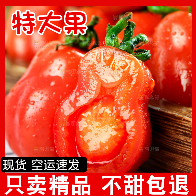 盘子里装着新鲜409小柿子