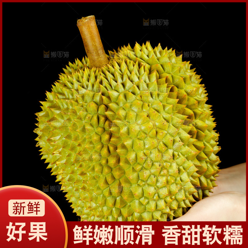 手里拿着进口甲仑榴莲