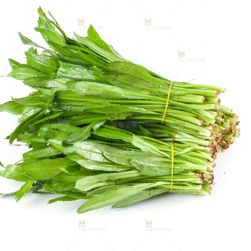 白底上的大香菜