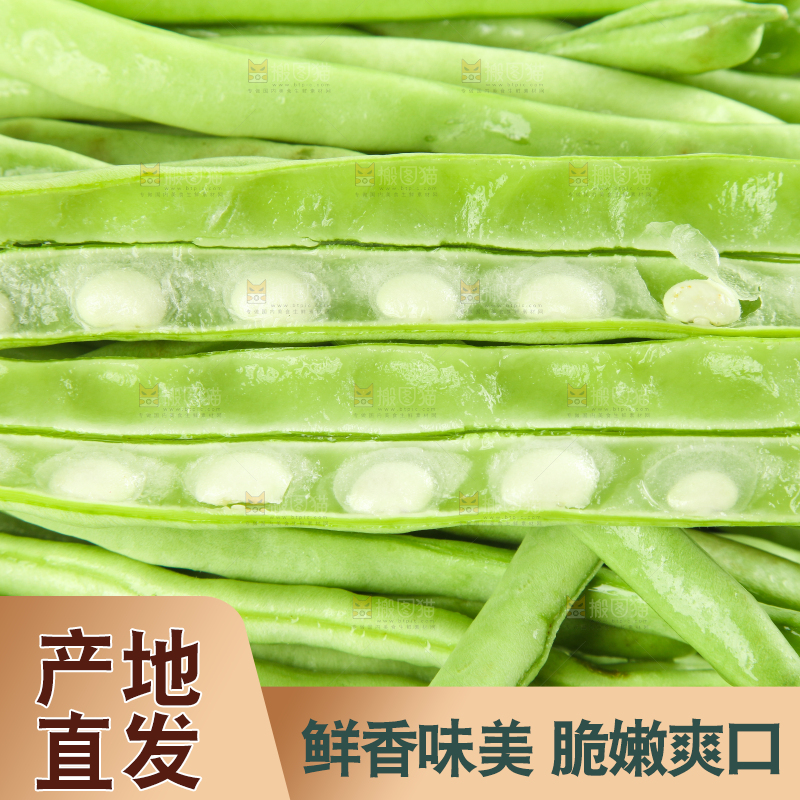 白底上的新鲜四季豆