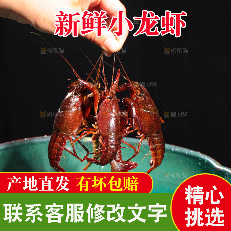 手里拿着清水虾