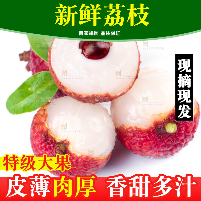 剥皮的茂名荔枝放在白底上