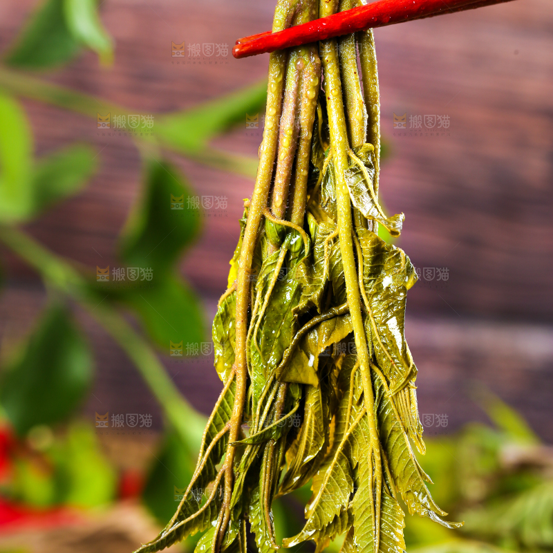 筷子夹着新鲜香椿芽