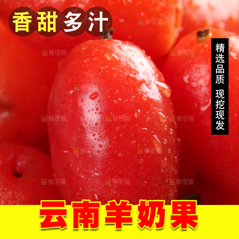 黑底上放着一碗胡颓果