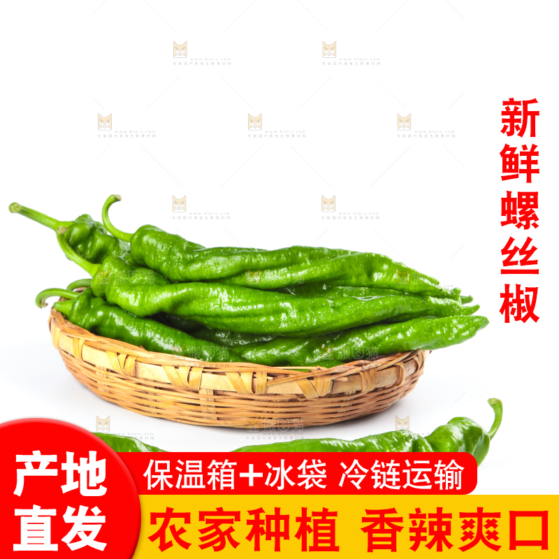 篮子里装着陕西螺丝椒