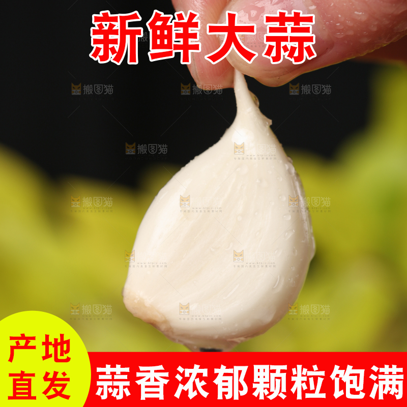 手里拿着紫皮多瓣蒜