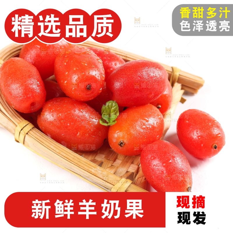 白底上放着野生羊奶果