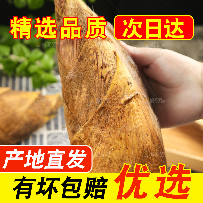 手拿竹笋