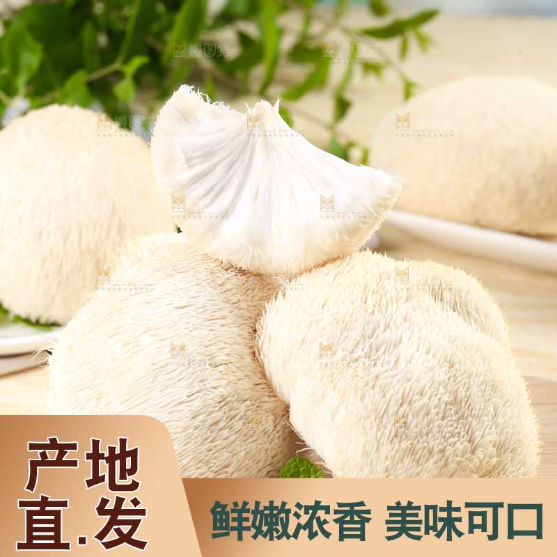 木板上放着长白山猴头菇