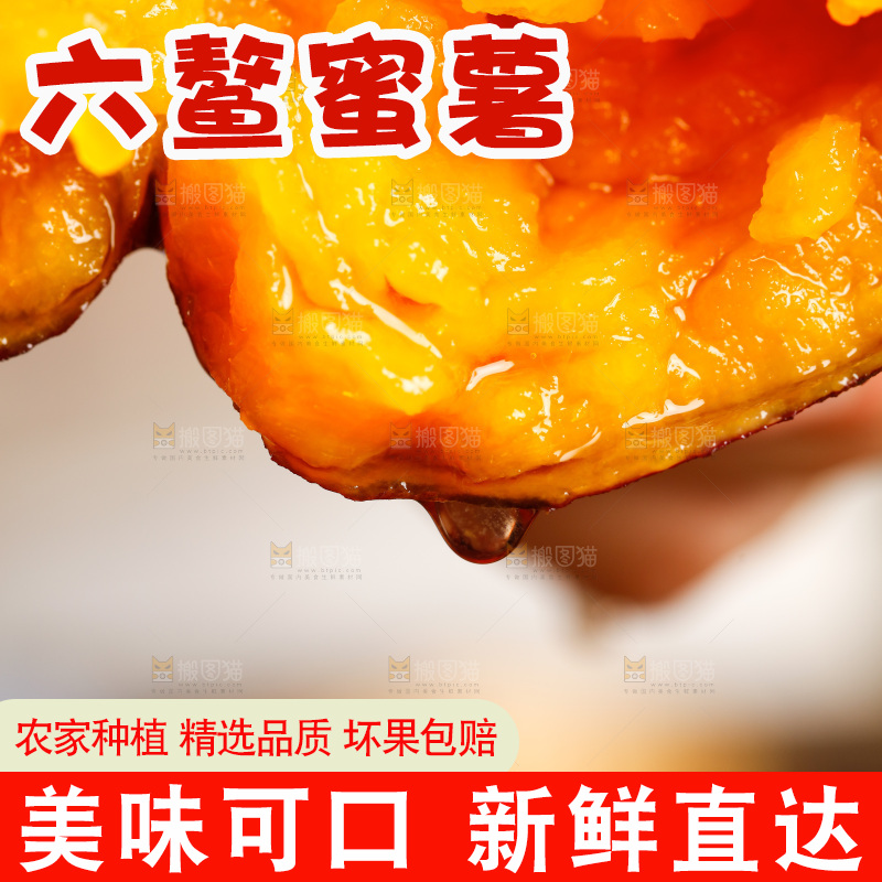 深底上的福建六鳌蜜薯