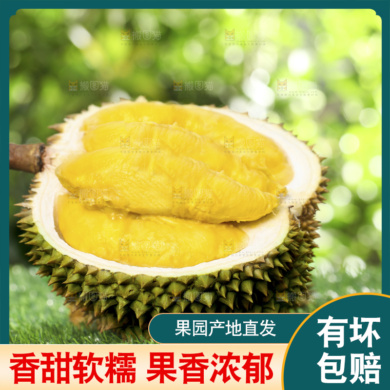 草地上摆放着甲仑榴莲