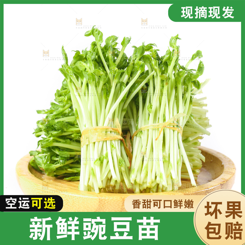 盘子里装着豌豆芽菜