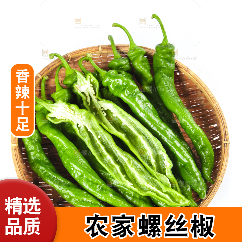 篮子里装着陕西螺丝椒