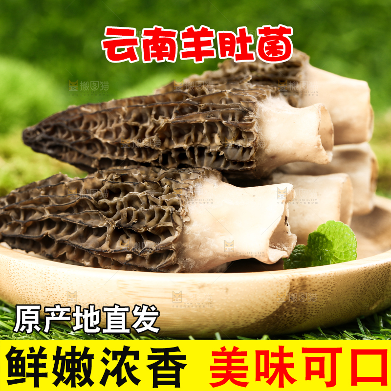 一盘羊肚菌放在草地上