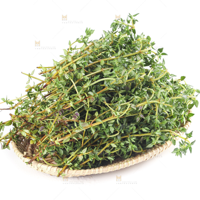 一盘麝香草放在白底上