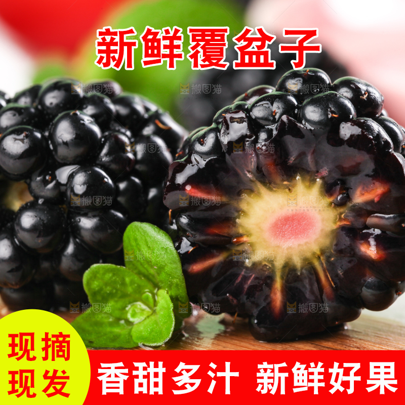 石板上的黑莓鲜果