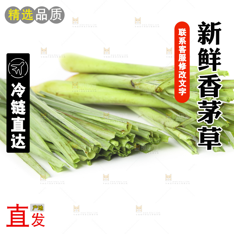 白底上的泰国香茅草