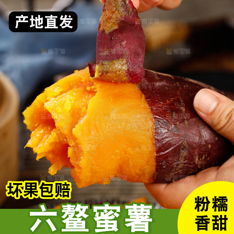 深底上的福建六鳌蜜薯