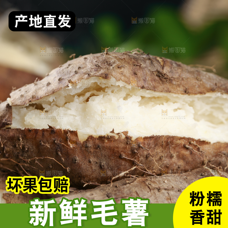 深底上放着熟的广东毛薯