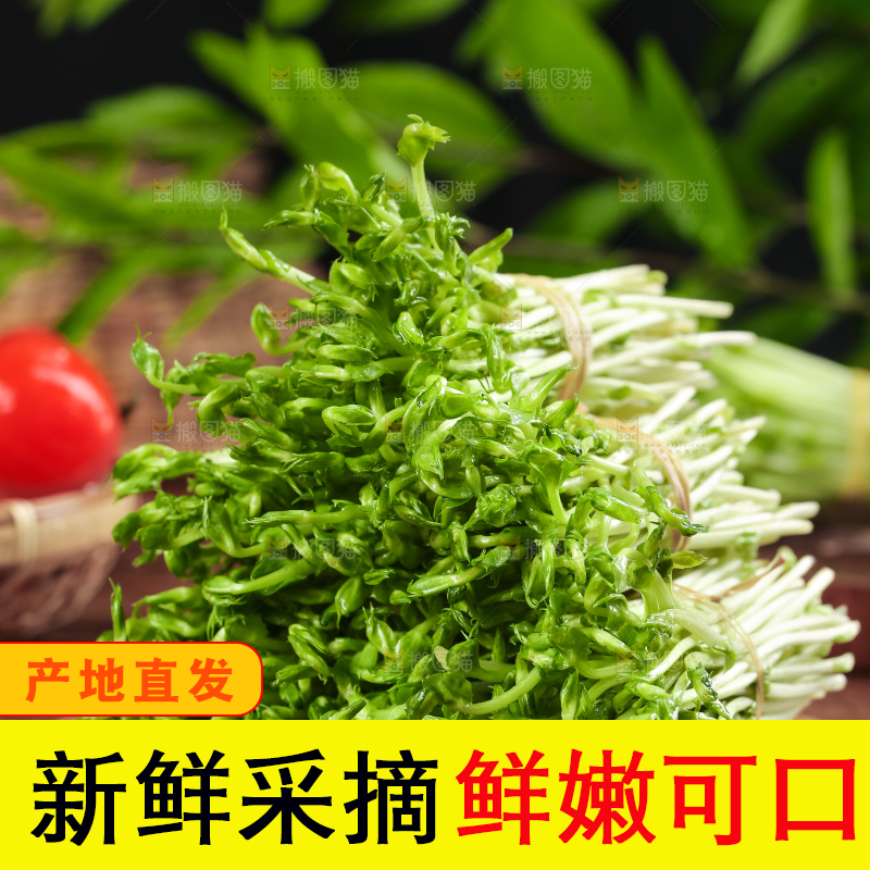 木板上放着豌豆芽