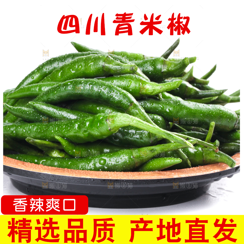一盘新鲜的青小米辣放在白底上