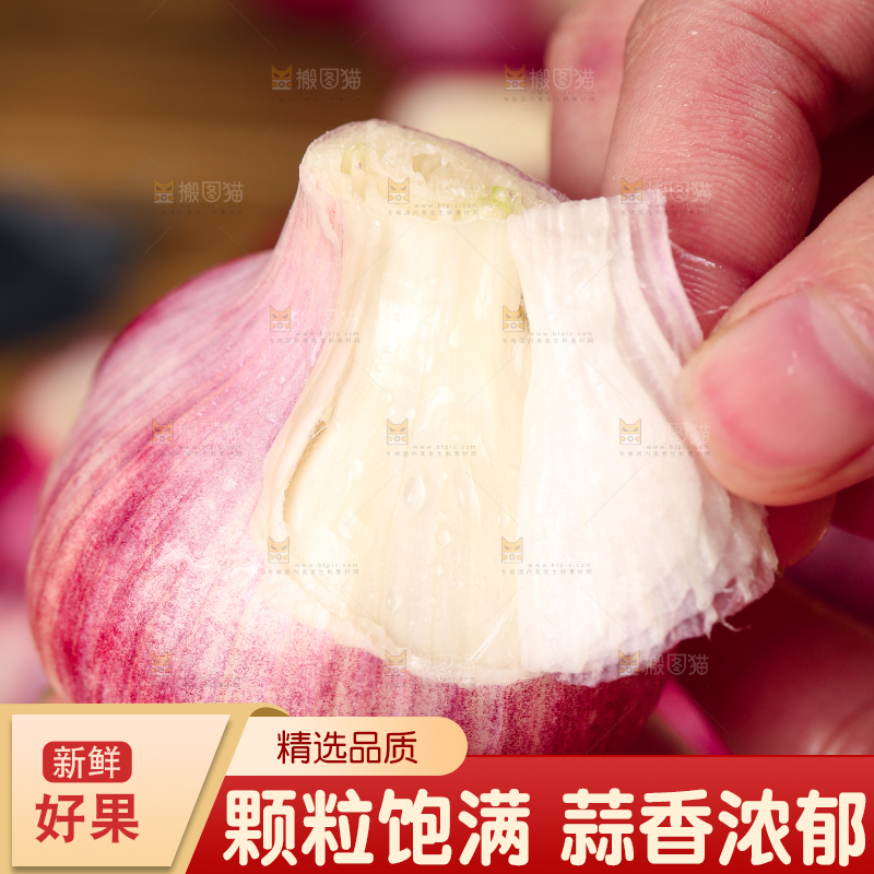 手里拿着紫皮多瓣蒜