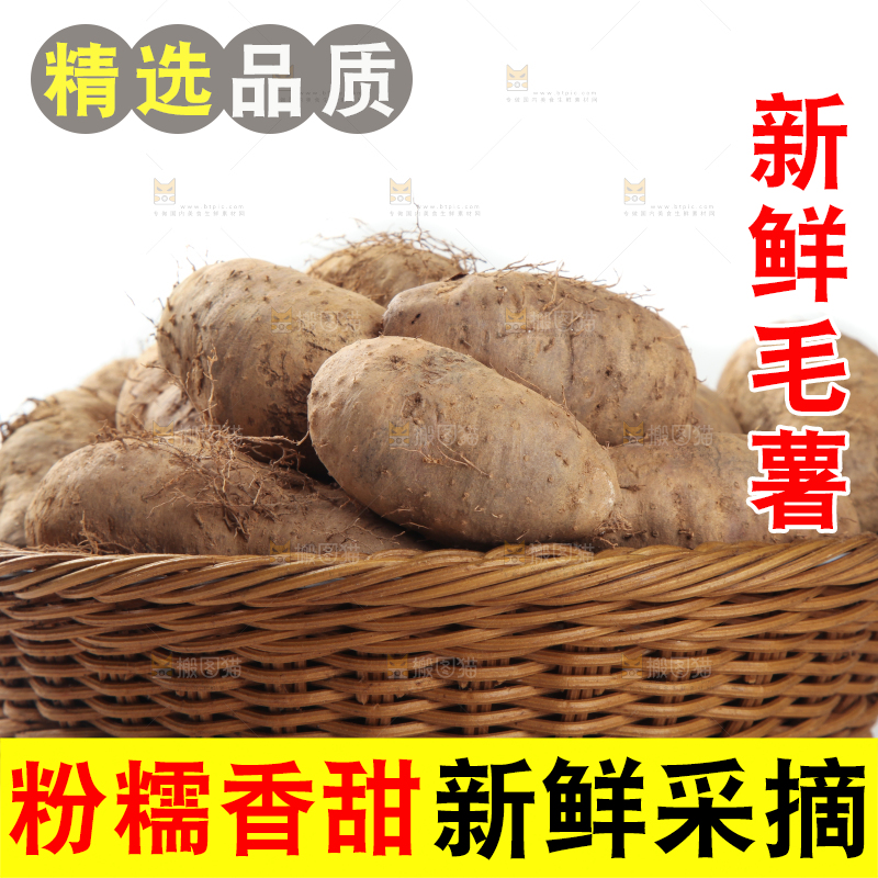 一筐广东毛薯放在白底上