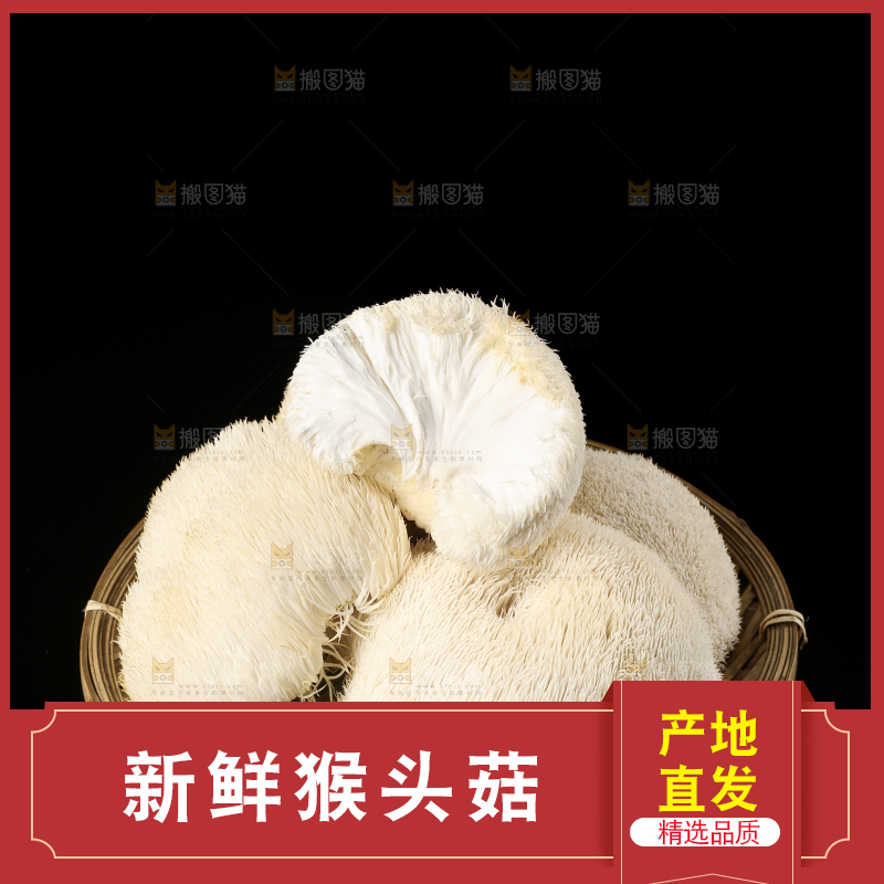 盘子里装着新鲜猴头菇