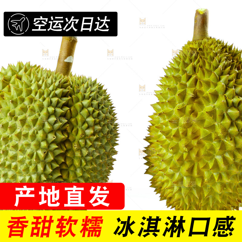 白底上的新鲜榴莲