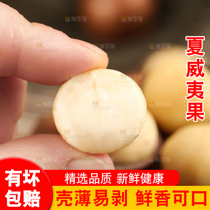 手拿夏威夷果果仁